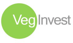 veginvest